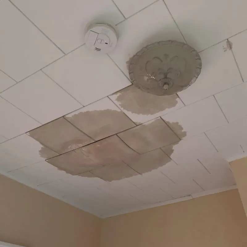 Ceiling Water Damage Repair in Hilldale, PA