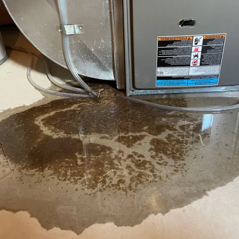 Pipe Burst and Leak Restoration in Hilldale, PA
