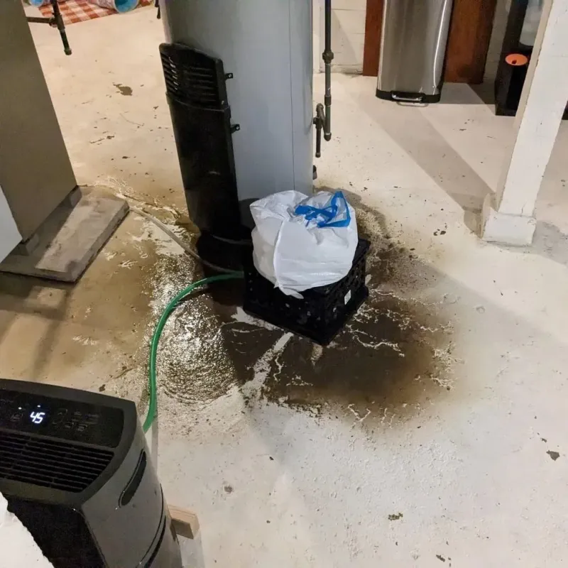 Sewage Backup Cleanup Service in Hilldale, PA